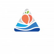 The PeachBay Group